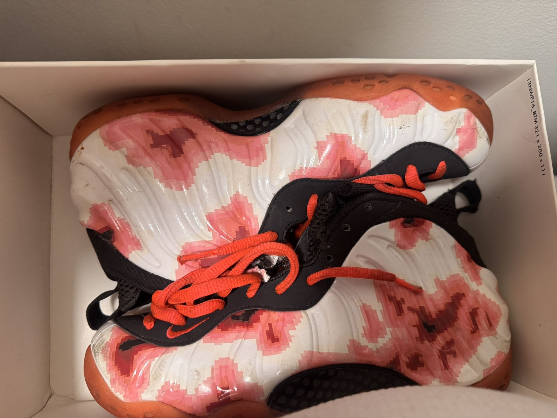 Nike Foamposite One