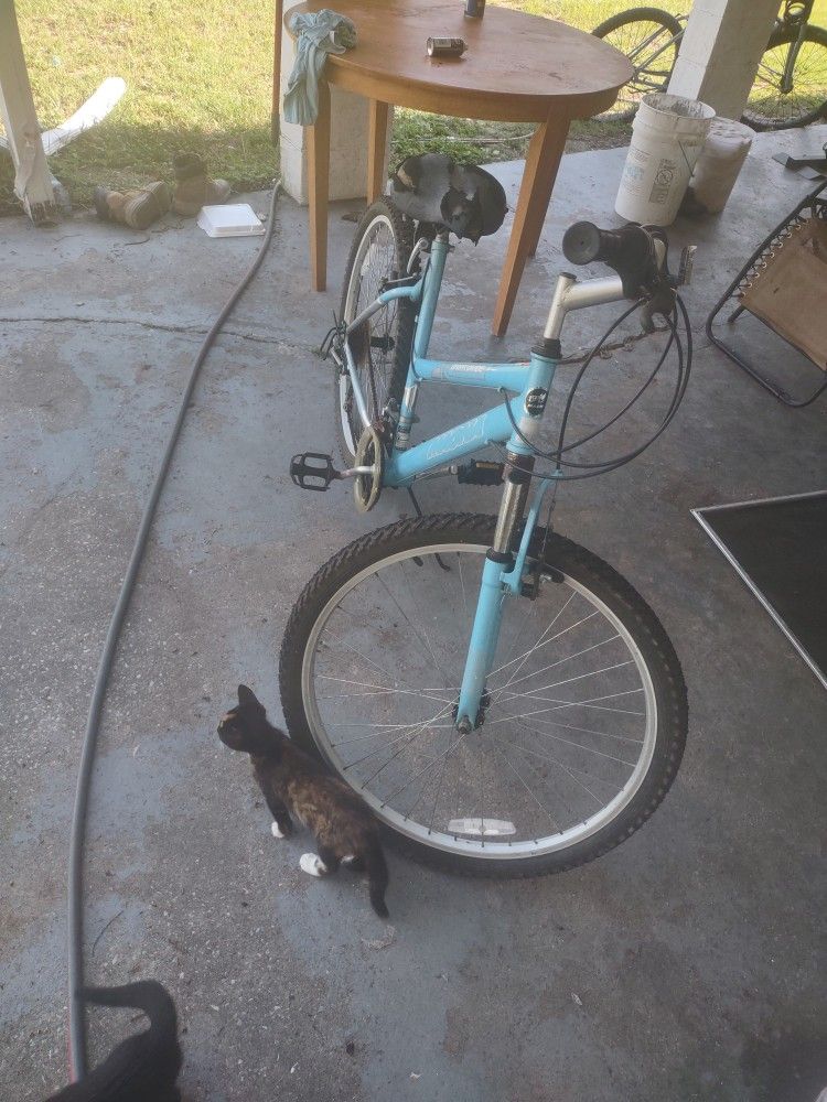 Bicycle