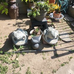 Plant Sale We Have Plant Stands !!!