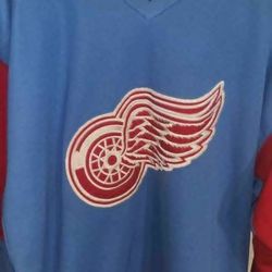 Authentic Vintage RARE 1990s Baby Blue Detroit Red Wings Starter Jersey Size L/XL