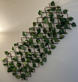 Trellis-style Expandable Privacy Fence With Leaves