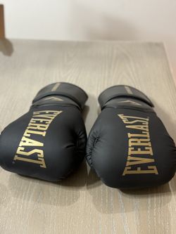 Everlast Boxing Gloves