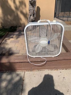 Fan
