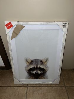 Raccoon Picture Frame