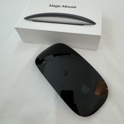 Magic Mouse Apple