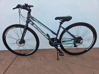 Schwinn Hybrid Bicycle