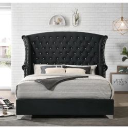 Habersham Queen Black Platform Bed