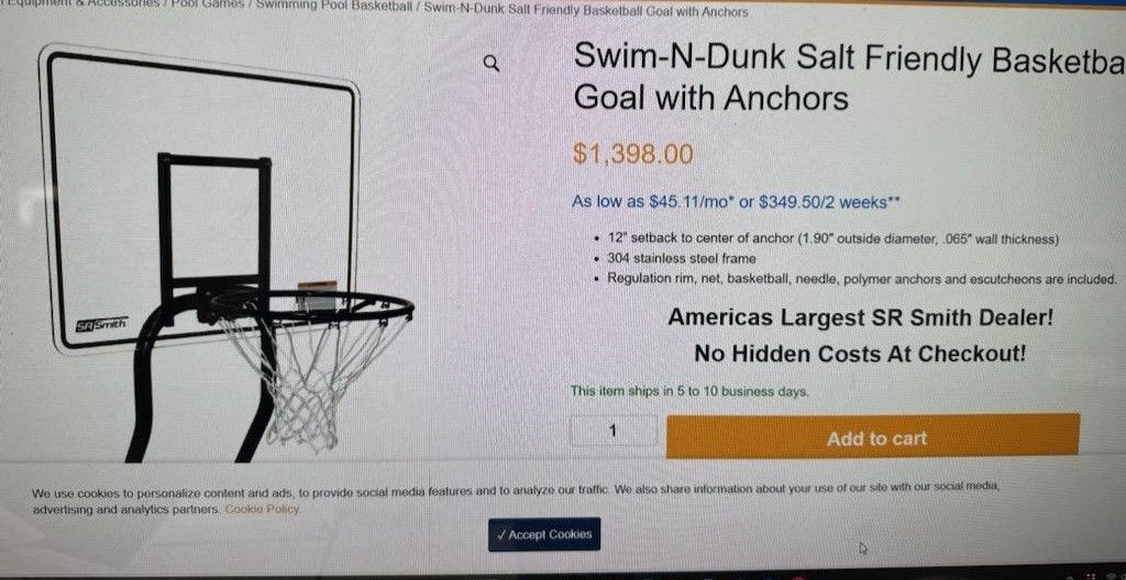 Swim N-Dunk salt friendly basketball goal with anchors