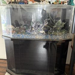 Fish Tank