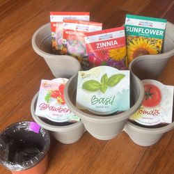 Home garden starter kit