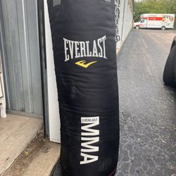 EVERLAST Punching Bag