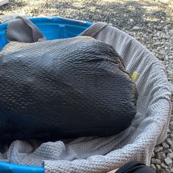 Black Bag Full Of Clothes $30