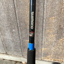 Shimano Talus Saltwater Series 