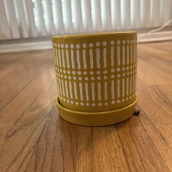 🌼 Bright Yellow Ceramic Planter – $5 (Santa Monica)