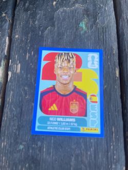 Blue border Nico Williams