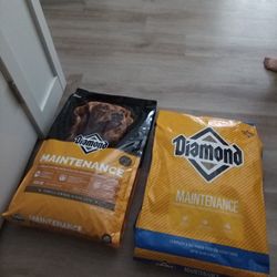 Dog Food 