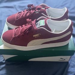 Pumas