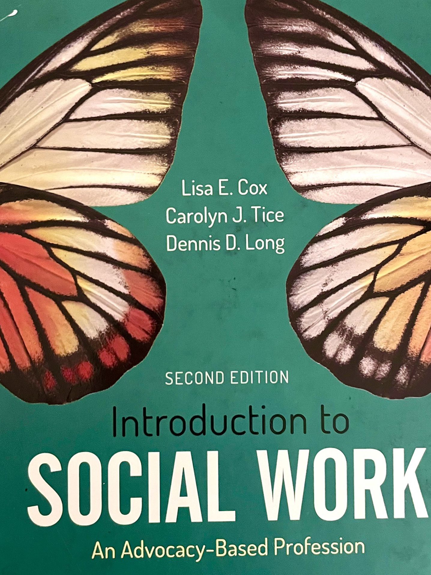 Introduction to Social Work (2nd Edition) Textbook
