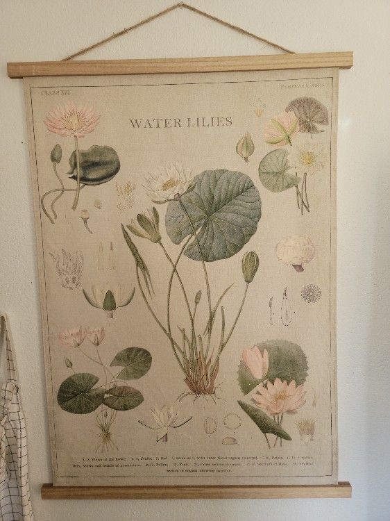 Lillys Wall Art For Sale