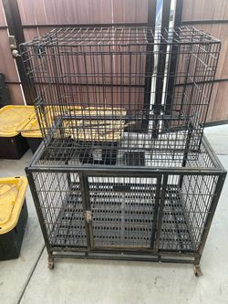 Big dog cage