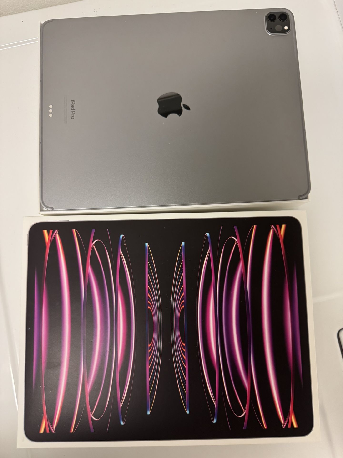 Apple iPod Pro Sliver Finish 256g Year 2022 (12.9 Size)