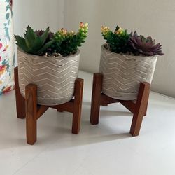 Plastic Plant Pot