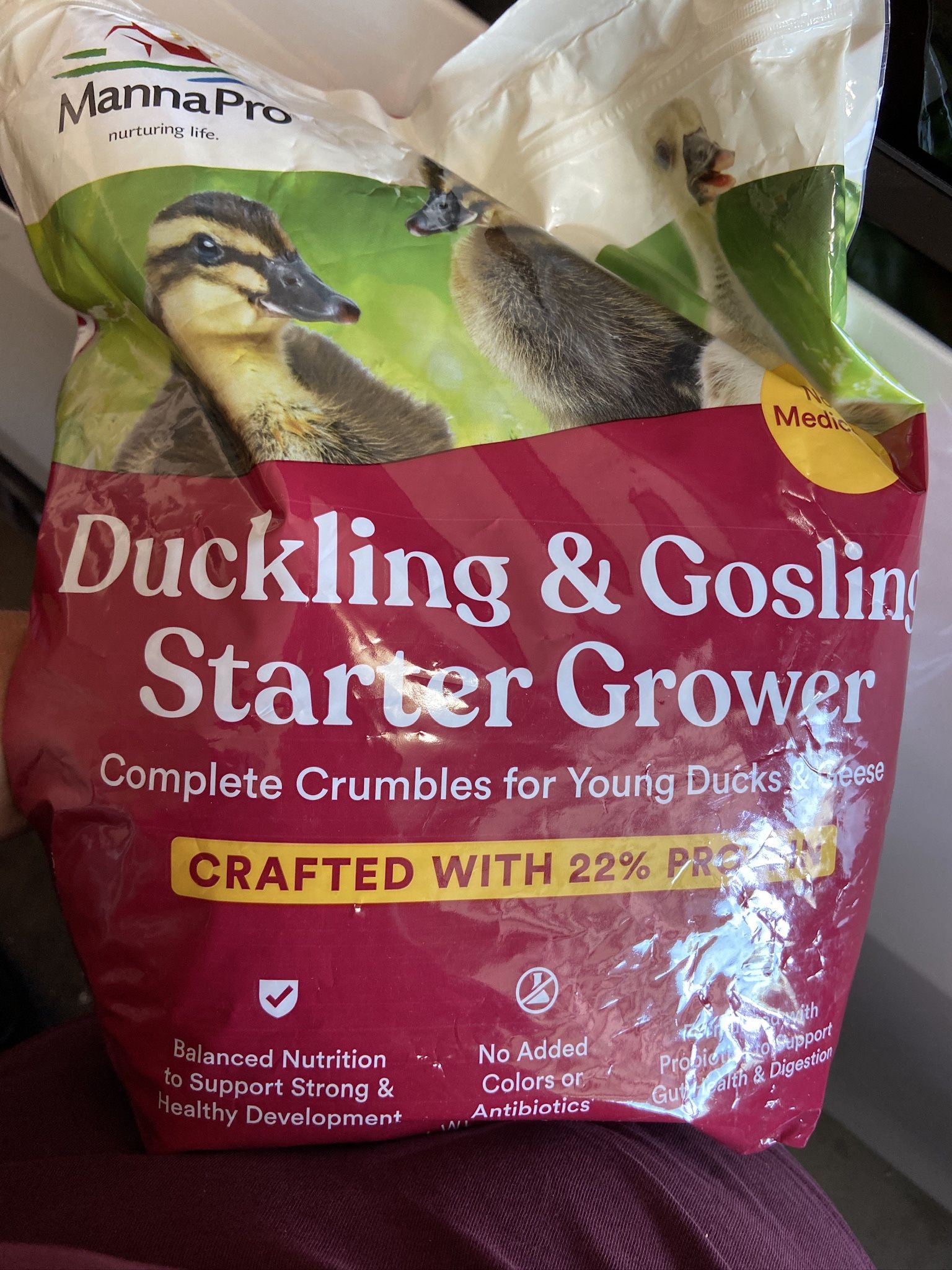 Duckling Food
