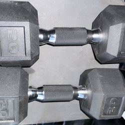 20lb dumbbells