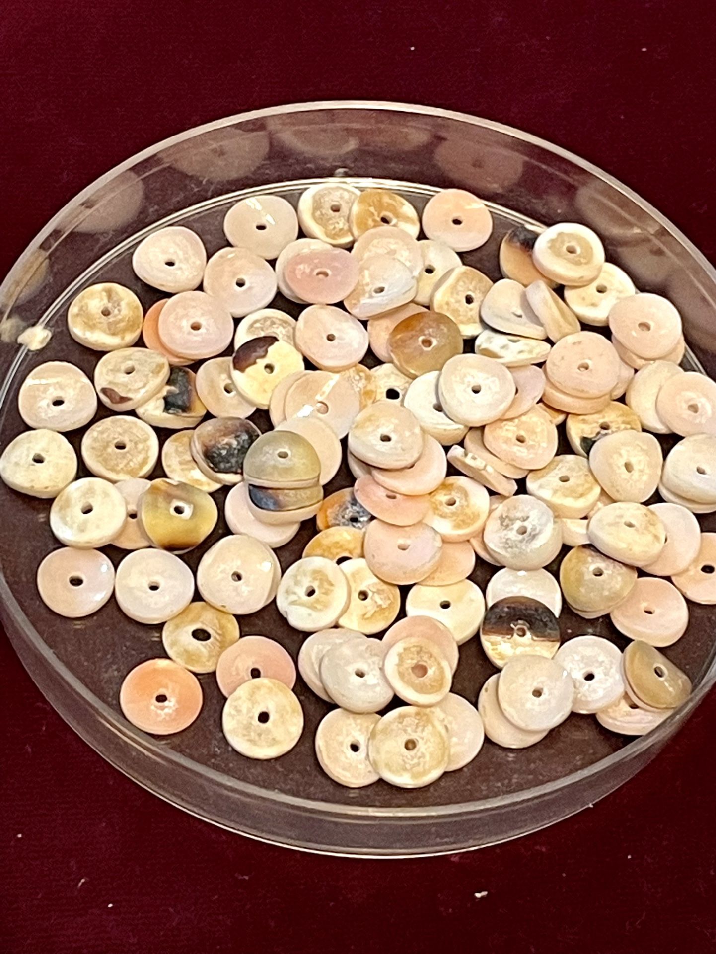 111 Seashell Beads!