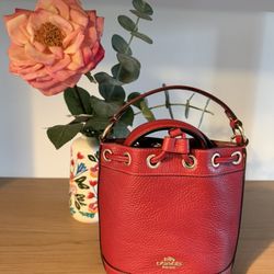 Coach Mini Drawstring Bag