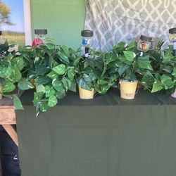 Centerpieces
