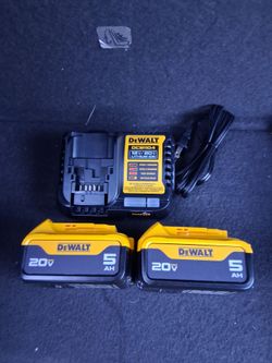 DeWALT Battery Kit