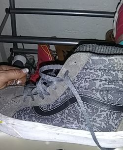 Van 7 three quarter New Ones