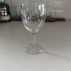 Princess House Wine Glass Set