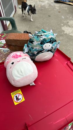  TWO SQUISHMALLOWS