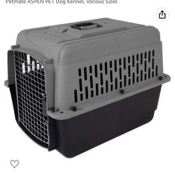 Dog Kennel 