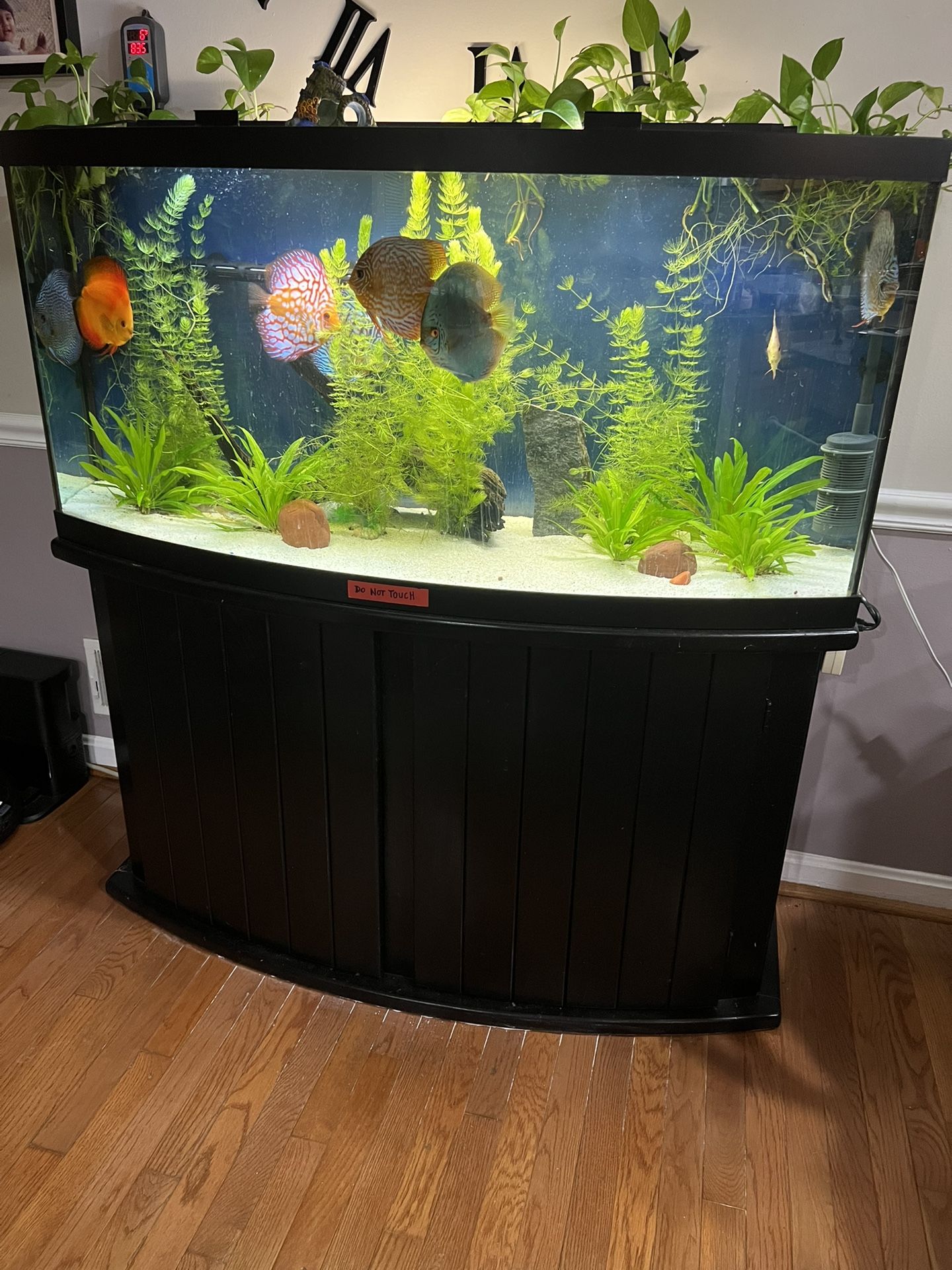 75 Gallon Aquarium Bow Front 
