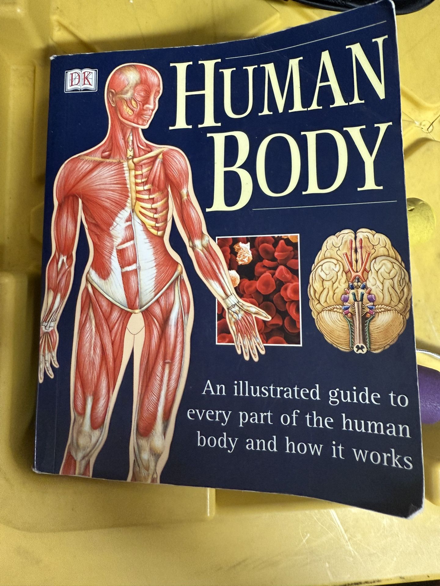 Human Body Book 