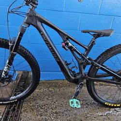 Specialized Stumpjumper Evo Expert
