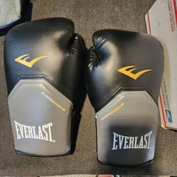 Everlast Evershield 16oz