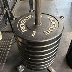 Rogue Echo Bumpers + storage