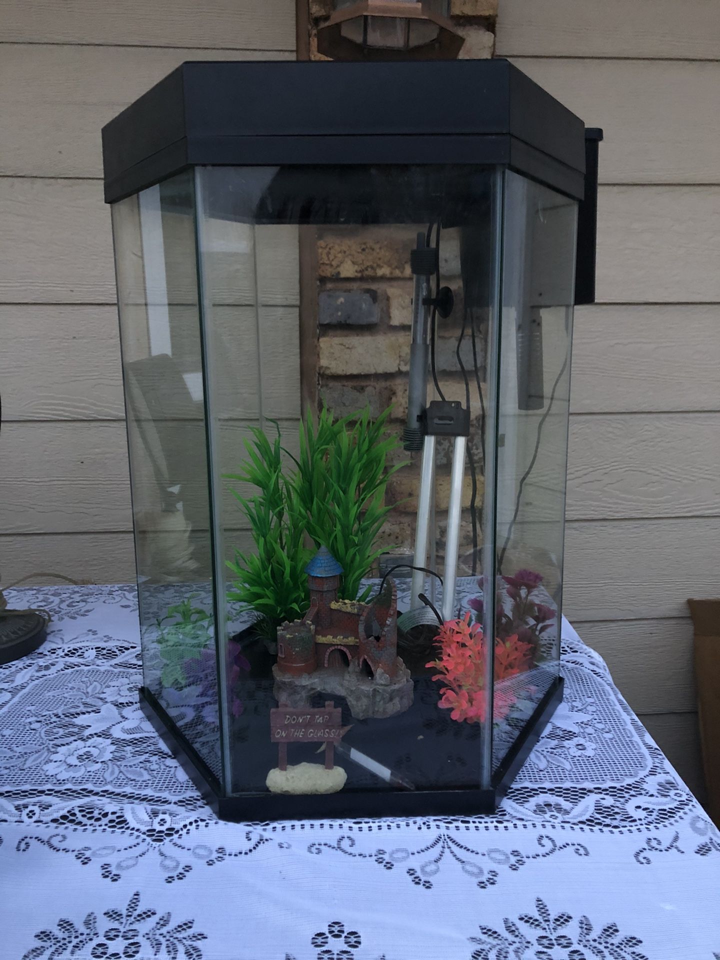 20 gallon tall fish tank