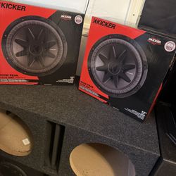 12” Subwoofer 