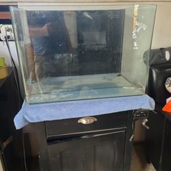20 Gallon Glass Fish Tank $500