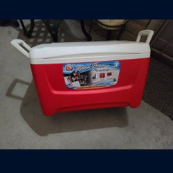 COOLER IGLOO 48 QUART 