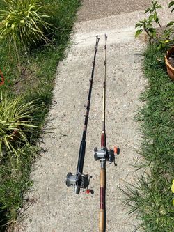 Two Fishing Rods with Conventional Reels pen Senator