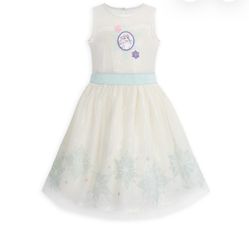 Elsa Dress Size 4 