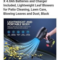 Cordless Leaf Blower 🌿🍀