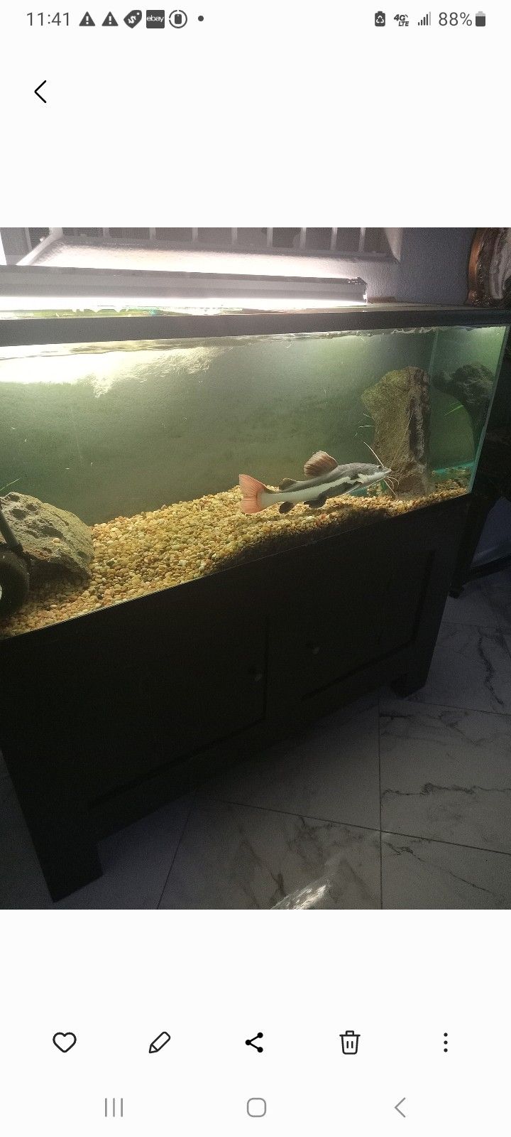 120 Gal Fish Tank