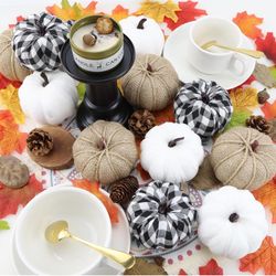 Pumpkins 12 Pcs 